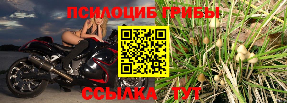 Псилоцибиновые грибы ЛСД Нерюнгри