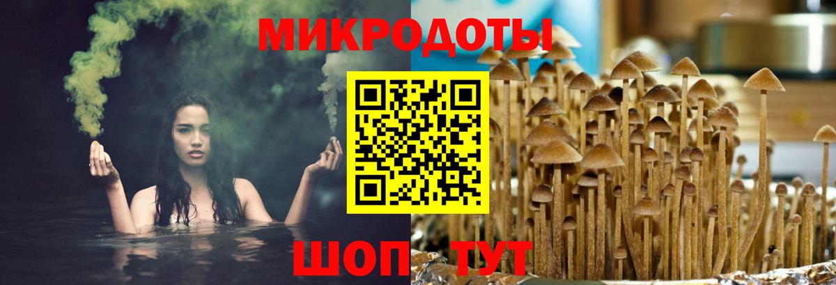 Нерюнгри  Псилоцибиновые грибы MAGIC MUSHROOMS  Вход с VPN 